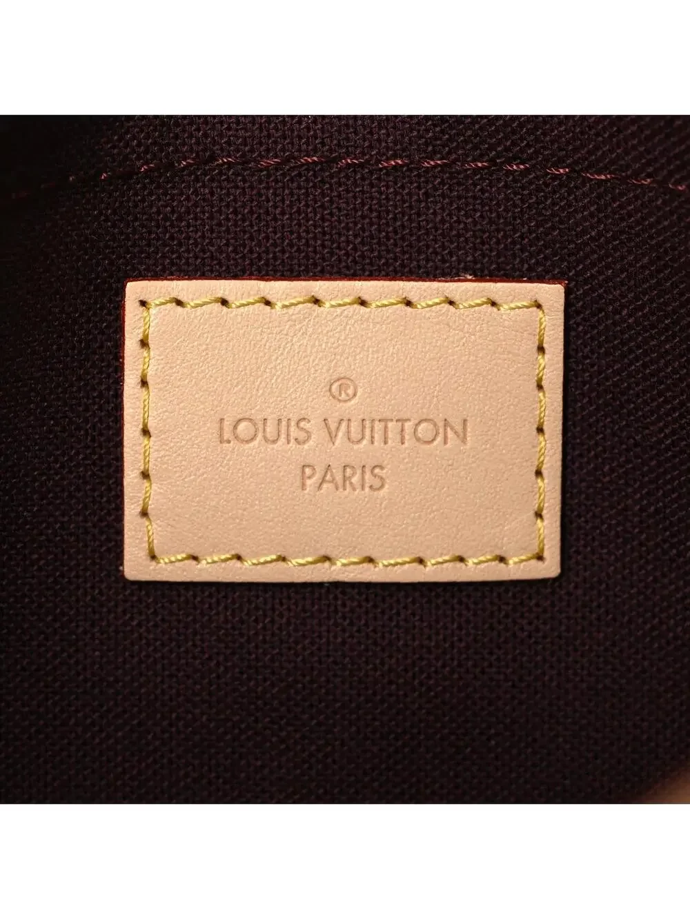 Louis Vuitton Favorite Pm #295559L14B